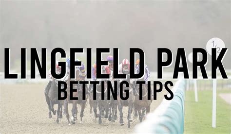 lingfield betting site - best lingfield betting sites